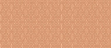 İnce şeftali altıgen deseni. Zarif geometrik tasarım, arka planlar, dokular, web sitesi tasarımı veya baskı projeleri için ideal. Düzen, bağlantı ve modern estetiği temsil eder..