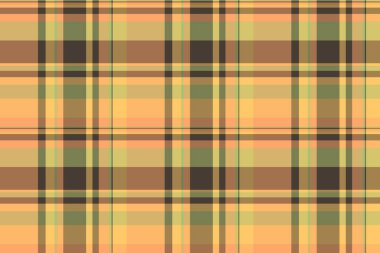 Toprak tonlarında sonbahar ekose deseni. Özgeçmiş, tekstil ya da dijital tasarımlar için kusursuz, çok yönlü bir tasarım. Sıcaklığı ve kırsal cazibeyi çağrıştırıyor..