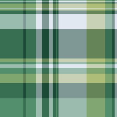 Zarif yeşil ve beyaz ekose desenli. Tekstil tasarımı, moda, duvar kağıdı ya da web sitesi geçmişi için mükemmel. İnce doku, sakin ve sofistike bir duyguyu çağrıştırır..