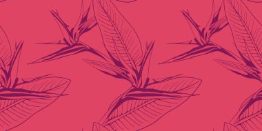 Çiçek desenli pembe ve mor cennet kuşu. Tekstil baskıları, duvar kağıtları, web sitesi arkaplanları ve canlı markalar için mükemmel..