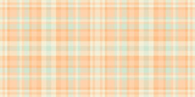 Şeftali ve nane renginde yumuşak pastel ekose desenli. Özgeçmiş, tekstil ve web sitesi tasarımı için ideal. Huzur ve sükuneti çağrıştırıyor..
