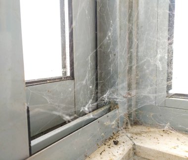 Pencere çerçevesinde örümceğin ördüğü tozlu bir köşe. İhmal, çürüme ve unutulmuş alanları simgeler. Terk edilme ya da kullanılmama hissi uyandırıyor. Ürkütücü ya da korku teması için iyi.