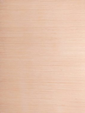 Zarif hafif ahşap doku, temiz, modern ve çok yönlü bir arka plan sunuyor. Tasarım, web sitesi, ürün modellemeleri ve yaratıcı projeler için ideal.