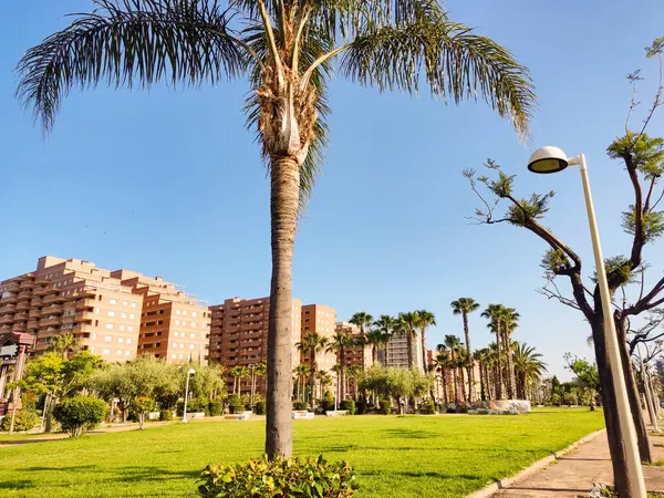 OROPESA DEL MAR, İSPAN - 18 Mayıs 2022: Güneşli bir günde palmiye ağaçları ve modern mimari. Arka planda apartmanlar olan yeşil şehir parkı. Seyahat hedefi.