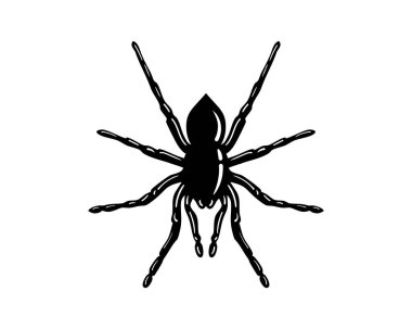 Temiz beyaz bir arkaplanda siyah bir örümceğin silueti. Cadılar Bayramı tasarımları, böcek çizimleri ya da sembolik gösterimler için mükemmel. Cesur, grafik biçimi.