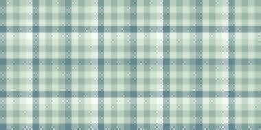 Zarif adaçayı yeşili ve mavi ekose desenli. Tekstil tasarımı, moda, web sitesi geçmişi veya ambalaj kağıdı için mükemmel.