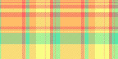 Canlı pastel ekose desenli. Tekstil tasarımı, web sitesi geçmişi ya da yaz temalı projeler için mükemmel. Bu neşeli, iyimser tasarım sıcaklık ve neşeyi çağrıştırıyor..