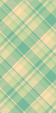 Oduncu kumaş taşıyıcı tartan, Hint desenli ekosesiz. Gelenek, ışık ve nane rengi paletinde dokuyu kontrol et.