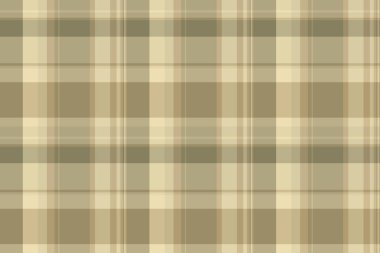 Kabarık vektör şablonu kontrolü, profesyonel tekstil dikişsiz. Pastel ve açık renk paletinde eğri arkaplan tartan dokusu.
