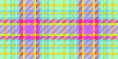 Canlı pastel ekose desenli. Tekstil tasarımı, moda, web siteleri ve markalaşma için mükemmel. Bu neşeli, pürüzsüz doku neşe ve iyimserliği çağrıştırıyor..