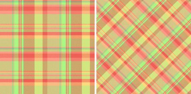 Büyüleyici tartan desenleri. Biri geleneksel, diğeri köşegen. Canlı aksanlarla karışık sıcak toprak tonları. Tekstil, duvar kağıdı veya tasarım projeleri için ideal.