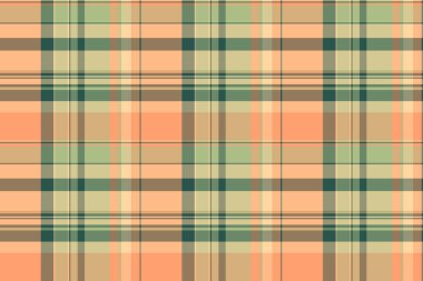 Zarif pastel ekose desenli. Yumuşak şeftali, adaçayı yeşili ve boz renkler, tekstil tasarımı, web sitesi geçmişi ya da kırtasiye için çok yönlü bir yapı oluşturur..