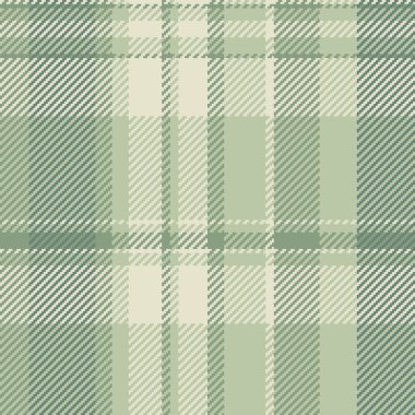 İnce adaçayı yeşili ve krem rengi ekose desenli. Moda, ev ya da web sitesi geçmişi için ideal gelişmiş bir tekstil dokusu. Sakinliği ve doğayı çağrıştırıyor..
