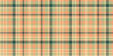 İnce şeftali ve adaçayı yeşili ekose desenli. Tekstil tasarımı, moda, web sitesi geçmişi ve markalaşma projeleri için mükemmel. Sıcaklığı, rahatlığı ve zarafeti çağrıştırıyor..