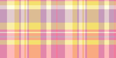 Pastel ekose desenli. Tekstil tasarımı, web sitesi geçmişi ya da hatıra defteri için mükemmel. Yumuşak, neşeli renkler ilkbahar ve mutluluğu çağrıştırıyor..