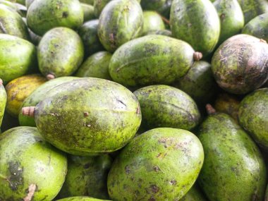 Kedondong Fruit Grubu (Spondias dulcis))