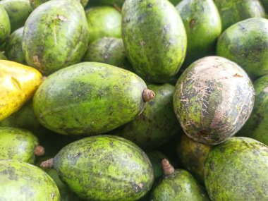 Kedondong Fruit Grubu (Spondias dulcis))