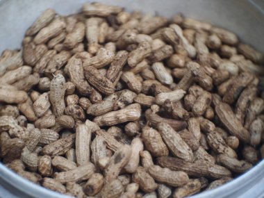 Bir grup fıstık. Fıstık (Arachis hipogaea Linn.) Fıstık (Arachis hipogaea Linn.) Mayaların ve İnka Kızılderililerinin yaşadığı Amerika 'dan gelmektedir.