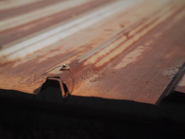 Paslı Metal Çatı 'ya yaklaş