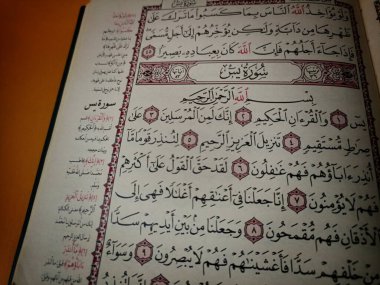 Şehir çiftçiliği. Kullanılmış konteynırlara lahana ekin