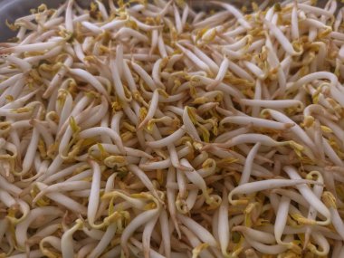 Toge veya Vigna Radiata 'dan taze sebzeler. Yan yemekler için sebzeler