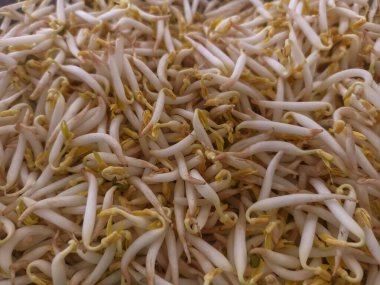 Toge veya Vigna Radiata 'dan taze sebzeler. Yan yemekler için sebzeler