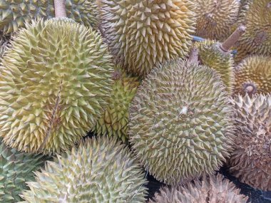 Satılık olgun Durian meyveleri yığını