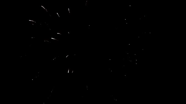 Fuegos Artificiales Son Grandes Por Noche Brillantes — Vídeo de stock