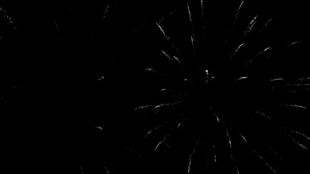 Fogos Artifício São Grandes Noite Brilhante — Vídeo de Stock
