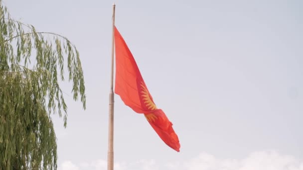 Bandera Kirguistán Contra Cielo Despejado — Vídeos de Stock