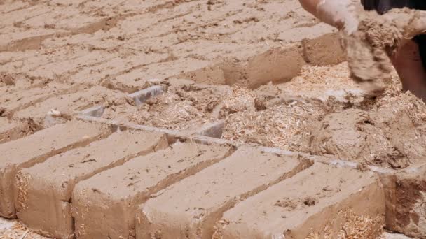 乌兹别克斯坦使用童工的情况 用粘土做砖的小孩 — 图库视频影像
