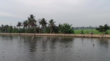  Alleppey Hindistan yüzen evi kanallar ve pirinç tarlaları arasında yol alıyor.