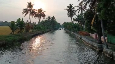  Alleppey Hindistan yüzen evi kanallar ve pirinç tarlaları arasında yol alıyor.