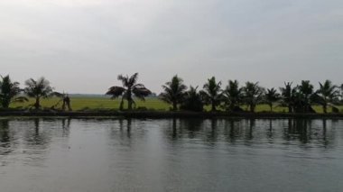  Alleppey Hindistan yüzen evi kanallar ve pirinç tarlaları arasında yol alıyor.