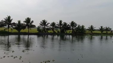  Alleppey Hindistan yüzen evi kanallar ve pirinç tarlaları arasında yol alıyor.