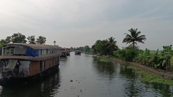 Alleppey Indien Husbåt Seglar Bland Kanaler Och Risfält — Stockvideo