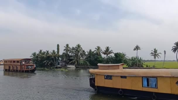 Alleppey India Houseboat Sailing Canals Rice Fields — 图库视频影像