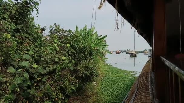 Alleppey Ινδία Πλωτό Σπίτι Ιστιοπλοΐα Μεταξύ Κανάλια Και Ορυζώνες — Αρχείο Βίντεο