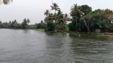  Alleppey Hindistan yüzen evi kanallar ve pirinç tarlaları arasında yol alıyor.