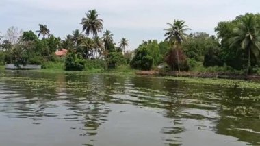  Alleppey Hindistan yüzen evi kanallar ve pirinç tarlaları arasında yol alıyor.
