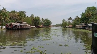  Alleppey Hindistan yüzen evi kanallar ve pirinç tarlaları arasında yol alıyor.
