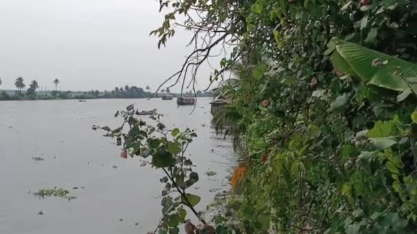Alleppey Hindistan Yüzen Evi Kanallar Pirinç Tarlaları Arasında Yol Alıyor — Stok video