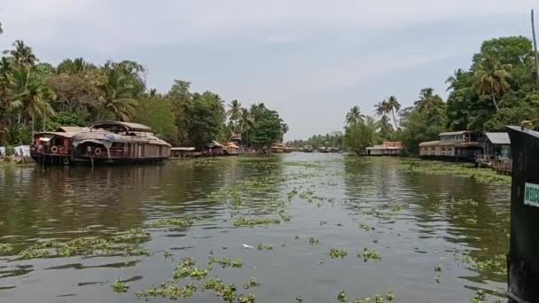 Alleppey India Hausboot Segelt Zwischen Kanälen Und Reisfeldern — Stockvideo