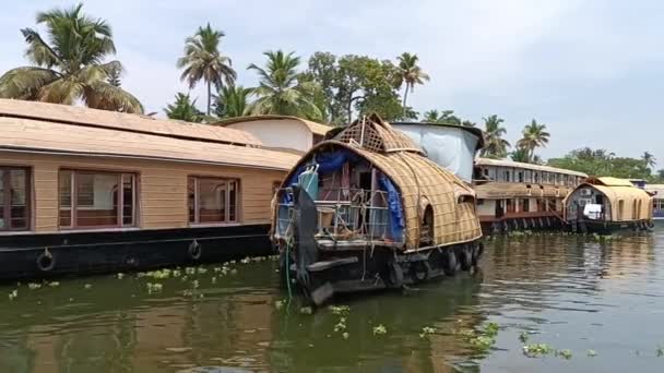 Indien Husbåt Seglar Bland Kanaler Och Risfält — Stockvideo