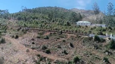 Arabayla Munar yolu