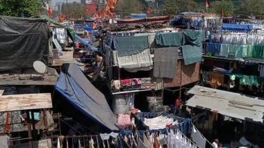  Mumbai 'de varoşlarda çamaşır yıkıyor. Dhobi Ghat, Mumbai 2024