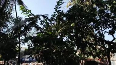 Açık bir günde, Mumbai 'deki Victoria İstasyonu. Mumbai, Maharashtra, Hindistan - 24 Ocak 2024 - UNESCO Dünya Mirası Bölgesi olan Chhatrapati Shivaji Terminus (CST) dışında geniş açılı araç trafiği