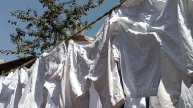Mumbai 'de varoşlarda çamaşır yıkıyor. Dhobi Ghat, Mumbai 2024