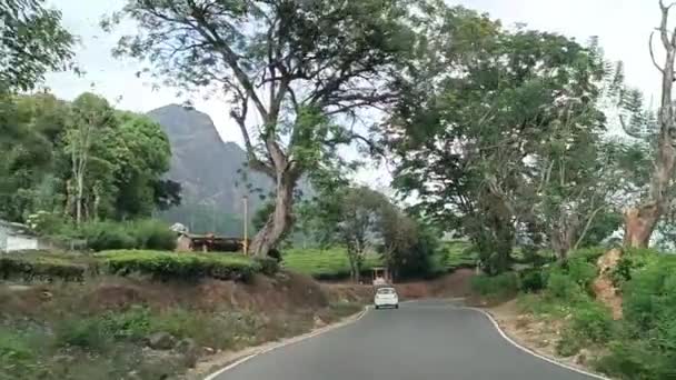 Φυτείες Τσαγιού Munnar Κεράλα Ινδία Αποκαλύπτοντας Σταθερή Βολή Φύλλα Πράσινου — Αρχείο Βίντεο