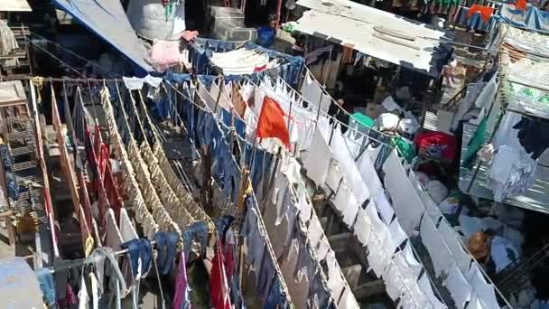 孟买有洗衣店的贫民窟 孟买的Dhobi Ghat 2024 — 图库视频影像